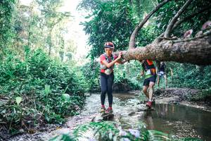 BIB: 
                            <button type="button" onclick="openModal(25434846)" class="btn btn-primary btn-sm float-right btn-popup" data-toggle="modal" data-target=".modal-high-quality">
                        <i class="fas fa-shopping-cart"></i> Add to Cart
                    </button>
                                            <button type="button" onclick="isThisMe(25434846, true)" class="btn btn-success btn-sm float-right btn-popup btn-isme hidden" data-toggle="tooltip" data-placement="bottom" title="นี่คือรูปของคุณใช่ไหม คลิกที่นี่เพื่อเอาเข้าอัลบั้ม">
                        <i class="fas fa-plus"></i> Add to album
                    </button>
                    <button type="button" onclick="isThisMe(25434846, false)" class="btn btn-warning btn-sm float-right btn-popup btn-isnotme hidden">
                        <i class="fas fa-ban"></i> Remove from album
                    </button>